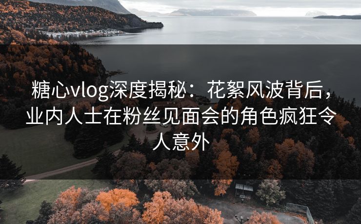 糖心vlog深度揭秘：花絮风波背后，业内人士在粉丝见面会的角色疯狂令人意外