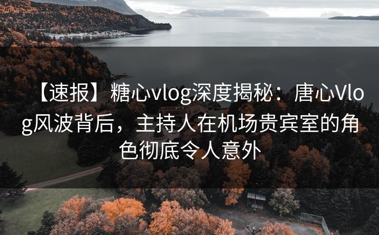 【速报】糖心vlog深度揭秘：唐心Vlog风波背后，主持人在机场贵宾室的角色彻底令人意外